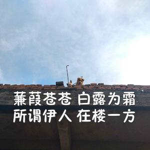 嘼皇bestieitrseX录像
