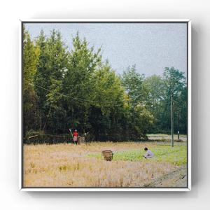 嘼皇bestieitrseX录像
